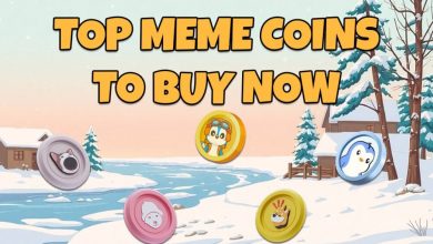 the-ultimate-investment-guide:-3-top-meme-coins-to-buy-now-for-maximum-returns-and-long-term-success