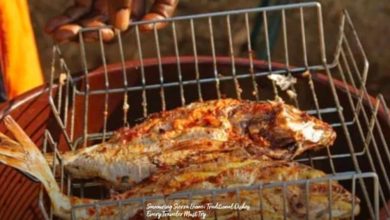 a-taste-of-sierra-leone:-traditional-dishes-worth-the-journey